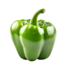 Capsicum