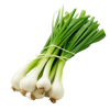 Spring Onion