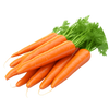 Carrot